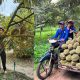ស្រុកសំឡូត
