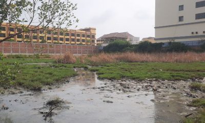 ខេត្តកំពត